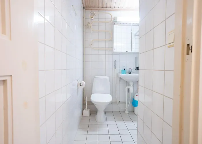 Kotimaailma Aparthotel Villa Hortus Turku 3* Turku